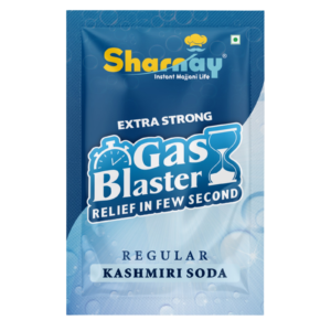 SHARNAY Kashmiri Soda Premix | Light Fizzy Taste 1 Qty | Just Add Chilled Water | Convenient Sachets