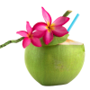 coconet hero